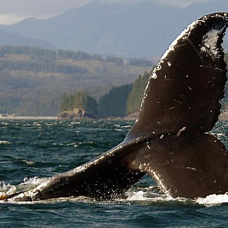 Kodiak Compass Suites Zewnętrze zdjęcie
